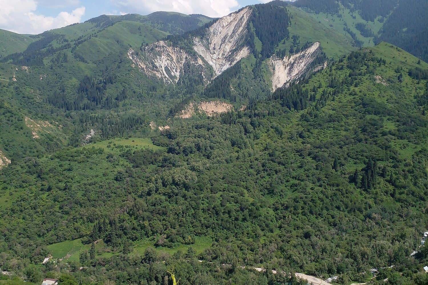 Green slopes of Aksay Gorge in summer, home to Country Village Resort — minibus transfer from Almaty