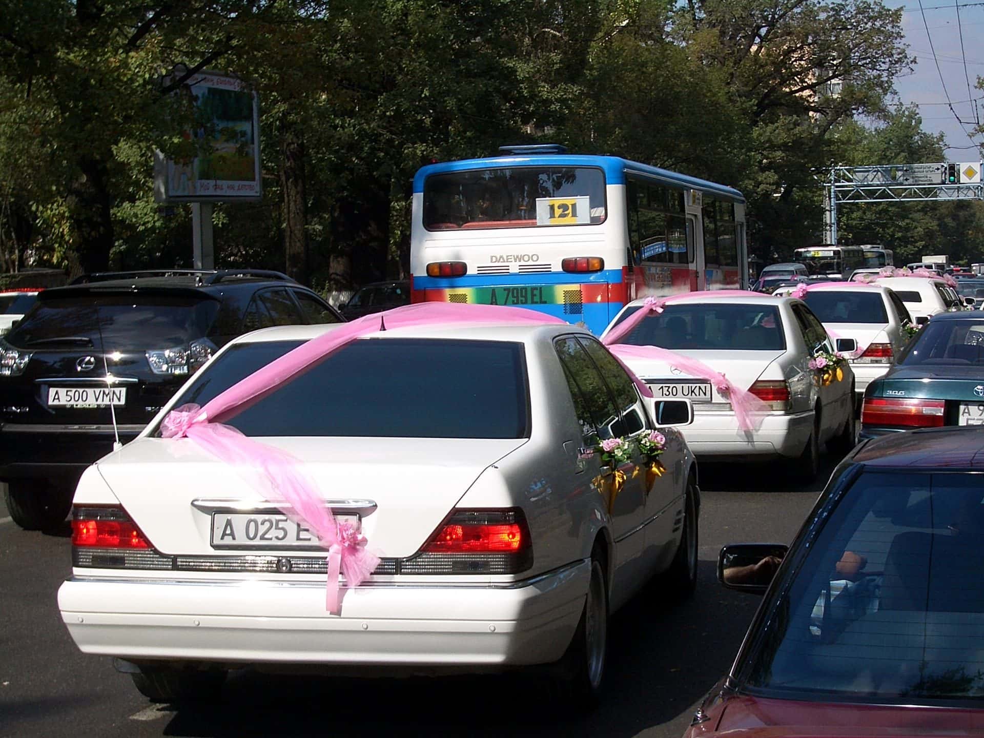 Wedding motorcade of ribbon-decorated cars on an Almaty street — how much transport a toi or party needs