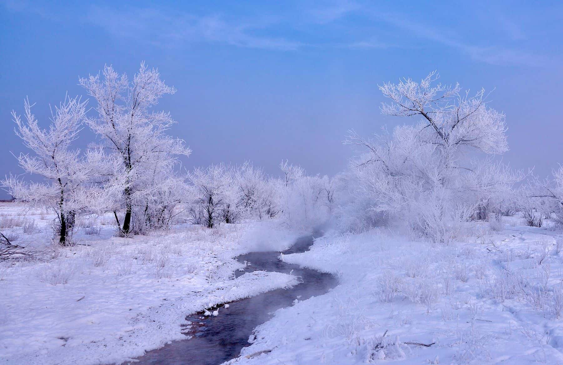 Frost-covered trees and a misty stream in the Uyghur District in winter, home to the Chundzha hot springs