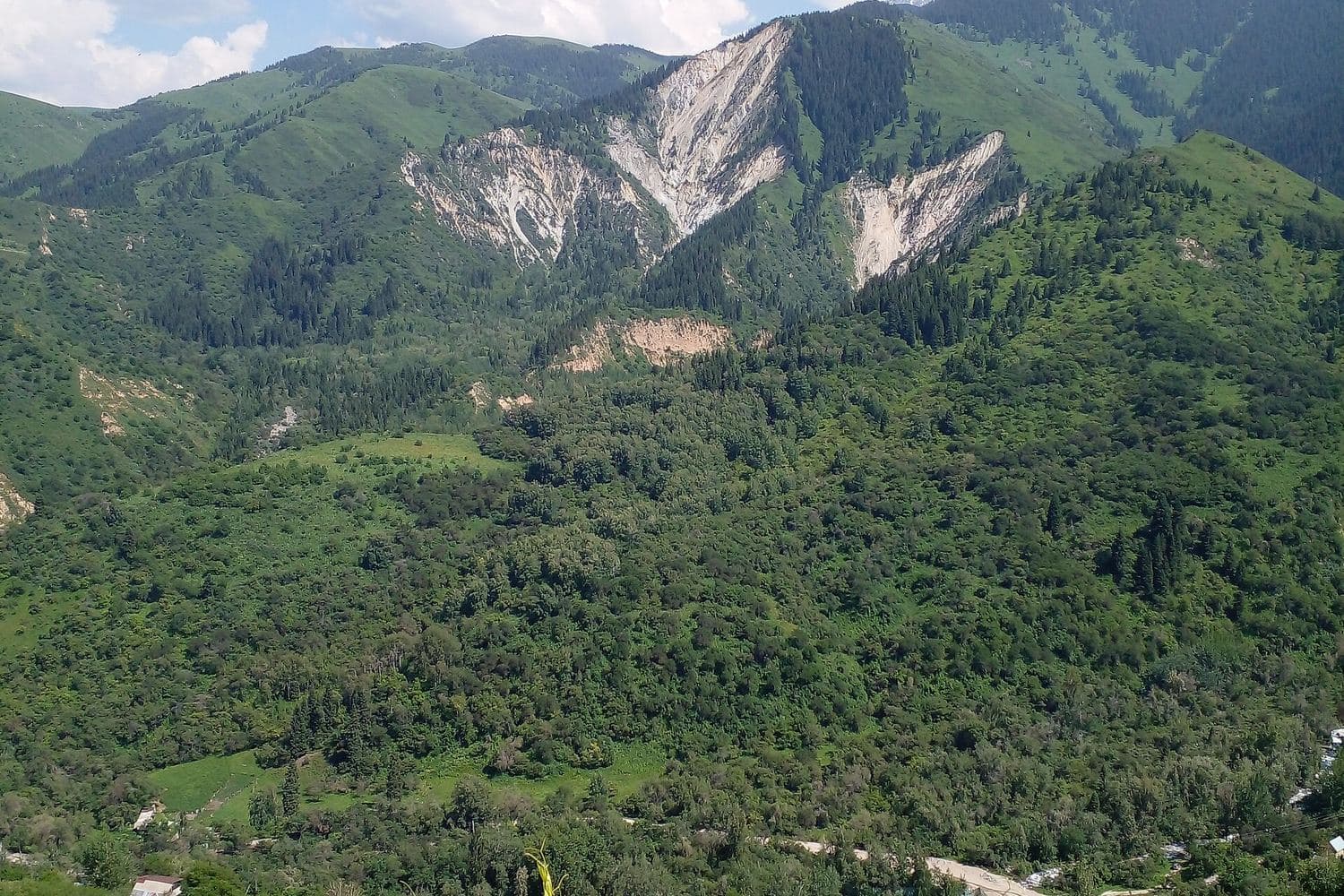 Green slopes of Aksay Gorge in summer, home to Country Village Resort — minibus transfer from Almaty