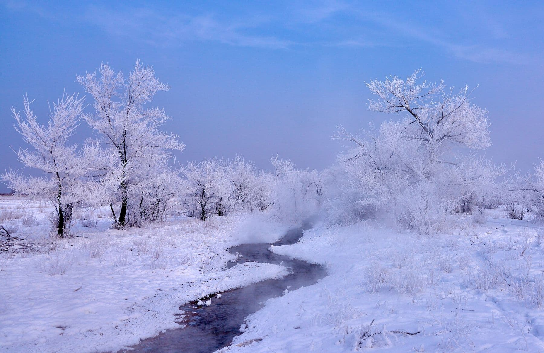 Frost-covered trees and a misty stream in the Uyghur District in winter, home to the Chundzha hot springs